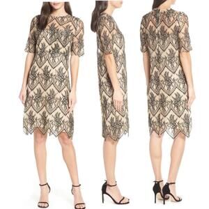 Caara Scalloped Lace Shift Dress NWT Size Small